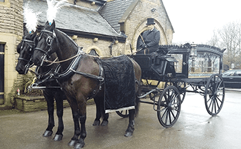 funeral horse drawn carriage